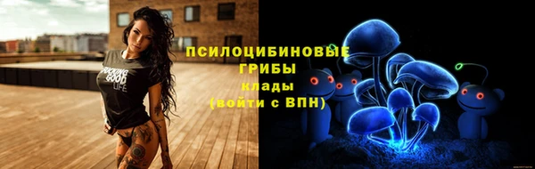 spice Армянск