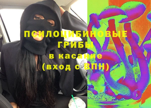 соль ск Дмитровск